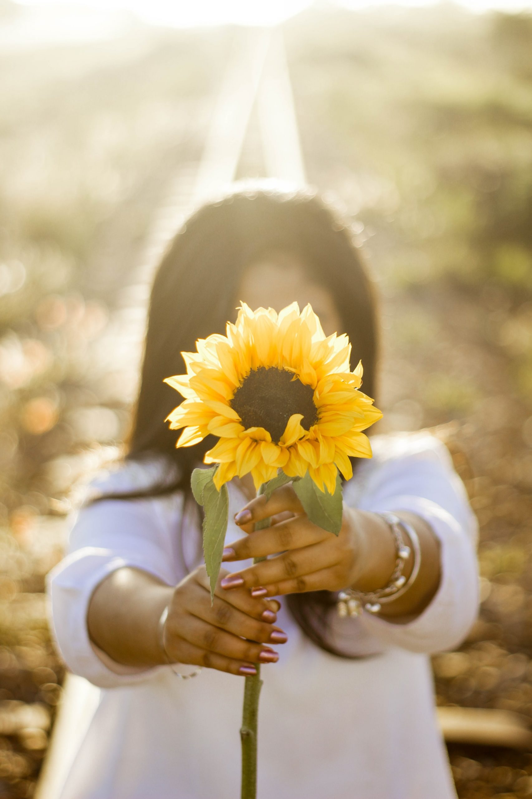 Image of Black woman standing a field while holding a sunflower. This image represents the calm and light desired by Black folks seeking therapy. Meet with an EMDR therapist in Baltimore, MD today. | 21204 | 21286 | 21044