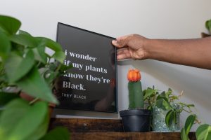 Image of a black poster with white words surrounded by green plants. This image represents how someone may feel about using plants for healing as mind-body medicine skill learned from a holistic therapist in Baltimore, MD. 21204 | 21286 | 21044
